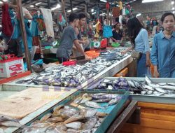 Harga Ikan di Pasar Bintan Center Tanjungpinang Naik Akibat Cuaca Ekstrem