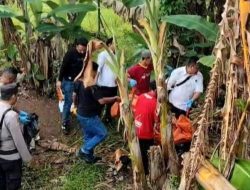 Kepergian Mendadak Tukang Kebun di Tanjungpinang