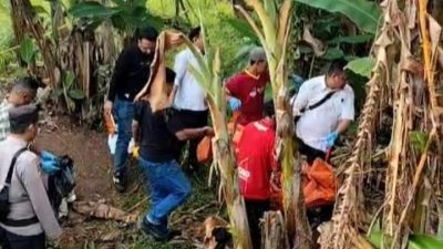 Kepergian Mendadak Tukang Kebun di Tanjungpinang