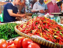 Harga Bahan Pokok di Tanjungpinang Melonjak Akibat Bencana